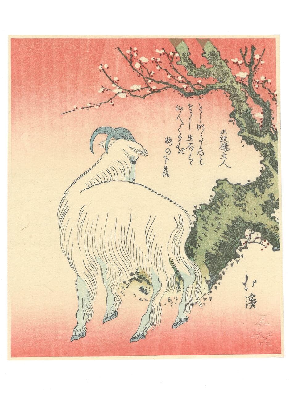 Totoya Hokkei, 葵岡北渓, Goat under Plum Tree, 梅樹に羊, Kachouga